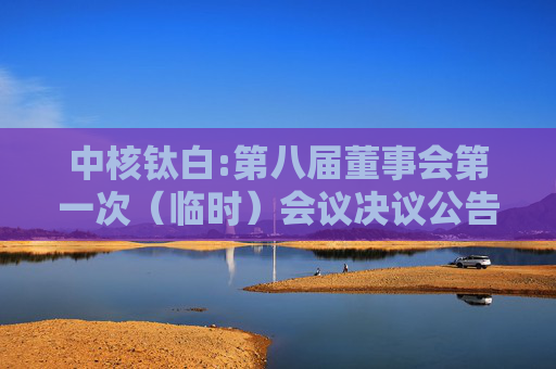 中核钛白:第八届董事会第一次（临时）会议决议公告  第1张
