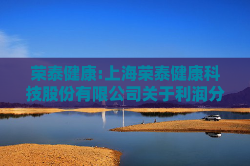 荣泰健康:上海荣泰健康科技股份有限公司关于利润分配调整“荣泰转债”转股价格的公告