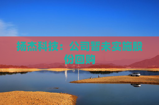 扬杰科技：公司暂未实施股份回购  第1张