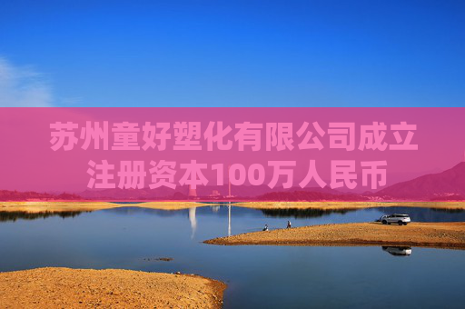 苏州童好塑化有限公司成立 注册资本100万人民币  第1张