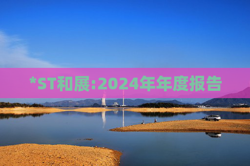 *ST和展:2024年年度报告