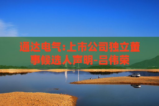 通达电气:上市公司独立董事候选人声明-吕伟荣