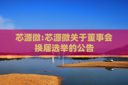 芯源微:芯源微关于董事会换届选举的公告