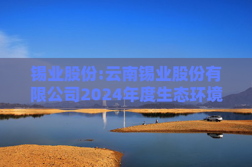 锡业股份:云南锡业股份有限公司2024年度生态环境保护报告