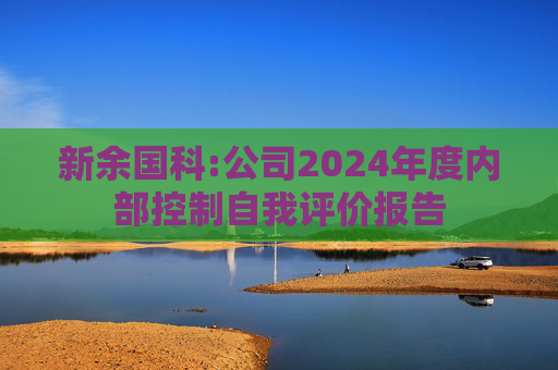新余国科:公司2024年度内部控制自我评价报告