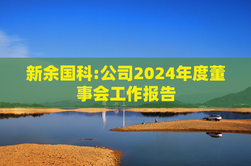 新余国科:公司2024年度董事会工作报告