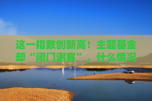 这一指数创新高！主题基金却“闭门谢客”，什么情况？