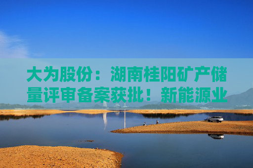 大为股份：湖南桂阳矿产储量评审备案获批！新能源业务布局的关键里程碑