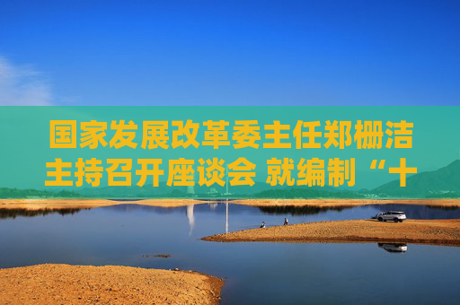 国家发展改革委主任郑栅洁主持召开座谈会 就编制“十五五”规划听取民营企业意见建议  第1张