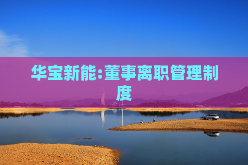 华宝新能:董事离职管理制度  第1张