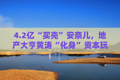 4.2亿“买壳”安奈儿，地产大亨黄涛“化身”资本玩家
