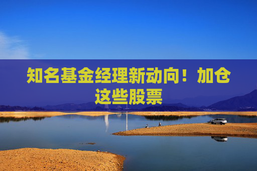 知名基金经理新动向！加仓这些股票  第1张