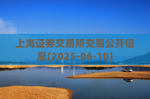 上海证券交易所交易公开信息(2025-06-10)