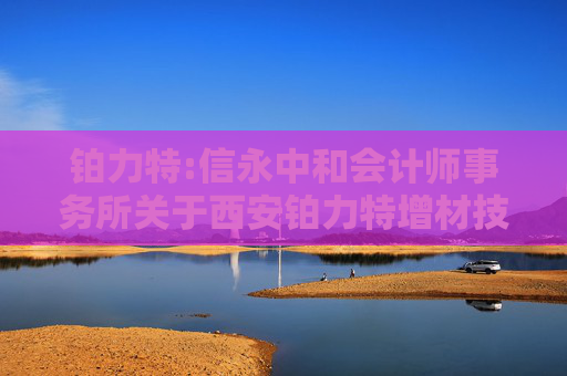 铂力特:信永中和会计师事务所关于西安铂力特增材技术股份有限公司2024年年度报告的信息披露监管问询函的回复