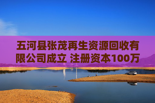 五河县张茂再生资源回收有限公司成立 注册资本100万人民币  第1张