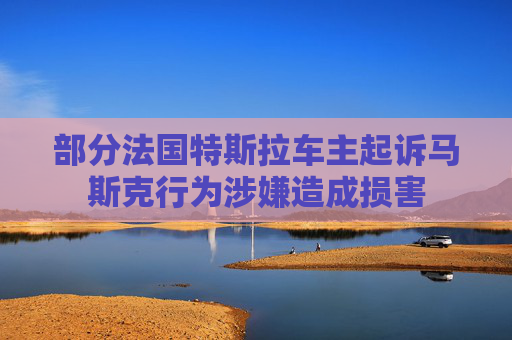 部分法国特斯拉车主起诉马斯克行为涉嫌造成损害