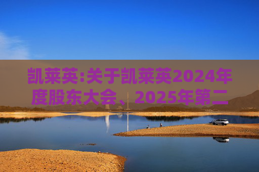 凯莱英:关于凯莱英2024年度股东大会、2025年第二次A股类别股东大会及2025年第二次H股类别股东大会的法律意见