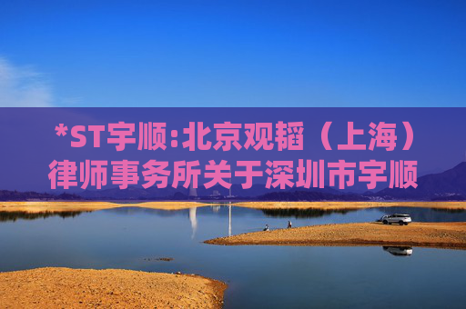 *ST宇顺:北京观韬（上海）律师事务所关于深圳市宇顺电子股份有限公司2024年度股东大会的法律意见书