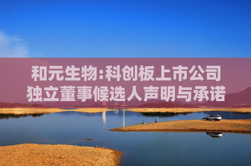 和元生物:科创板上市公司独立董事候选人声明与承诺-高国垒