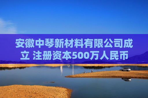 安徽中琴新材料有限公司成立 注册资本500万人民币  第1张