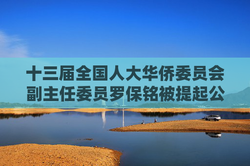 十三届全国人大华侨委员会副主任委员罗保铭被提起公诉  第1张