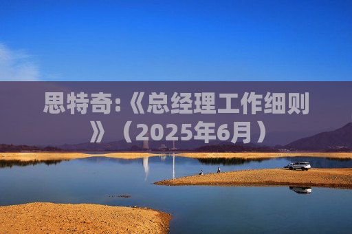 思特奇:《总经理工作细则》（2025年6月）