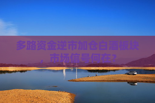 多路资金逆市加仓白酒板块，市场信号何在？