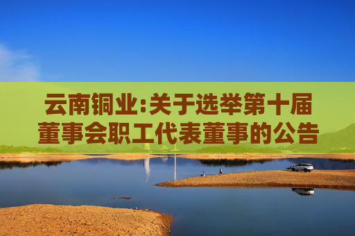 云南铜业:关于选举第十届董事会职工代表董事的公告