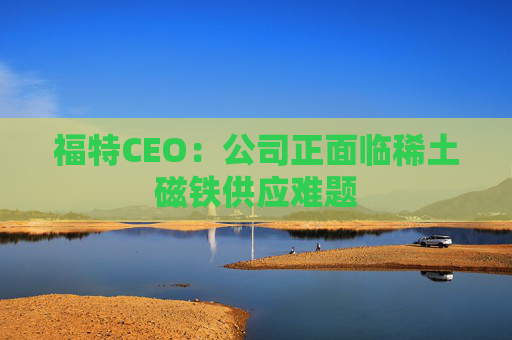 福特CEO：公司正面临稀土磁铁供应难题