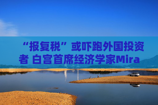 “报复税”或吓跑外国投资者 白宫首席经济学家Miran称是误解