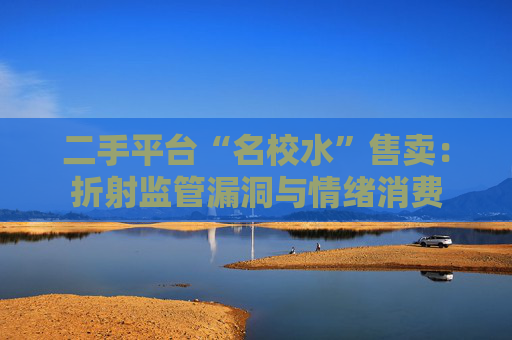 二手平台“名校水”售卖：折射监管漏洞与情绪消费