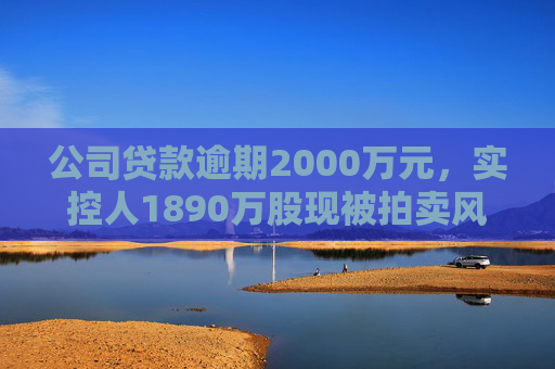 公司贷款逾期2000万元，实控人1890万股现被拍卖风险⋯⋯ST赛为遇多件“烦心事”