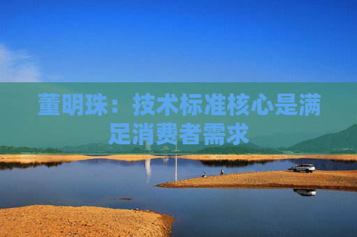 董明珠：技术标准核心是满足消费者需求