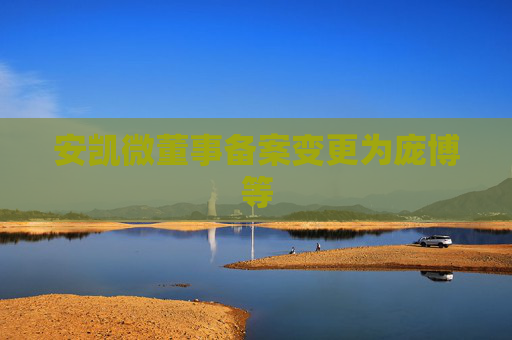 安凯微董事备案变更为庞博等
