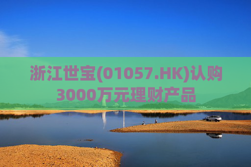 浙江世宝(01057.HK)认购3000万元理财产品