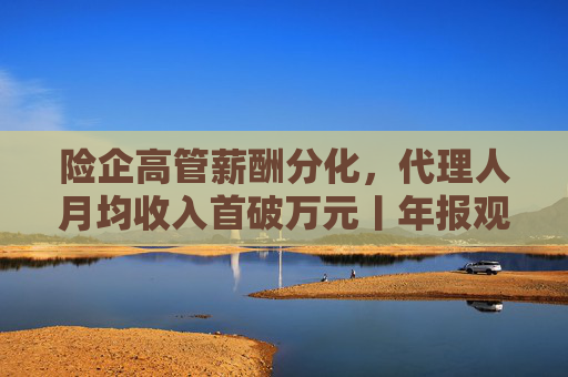 险企高管薪酬分化，代理人月均收入首破万元丨年报观察
