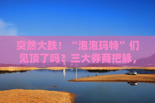 突然大跌！“泡泡玛特”们见顶了吗？三大券商把脉，“确定性增长”成为核心关注点