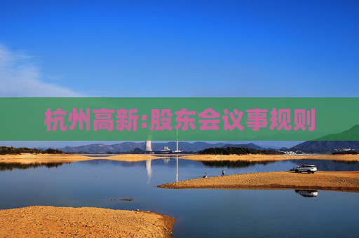 杭州高新:股东会议事规则