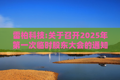 雷柏科技:关于召开2025年第一次临时股东大会的通知  第1张
