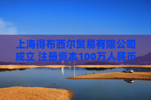上海得布西尔贸易有限公司成立 注册资本100万人民币  第1张