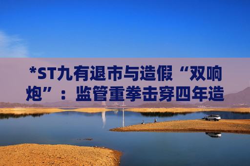 *ST九有退市与造假“双响炮”：监管重拳击穿四年造假迷雾