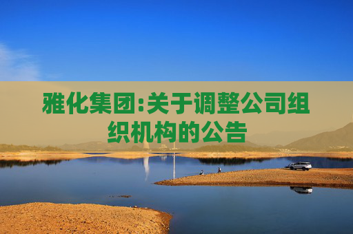 雅化集团:关于调整公司组织机构的公告