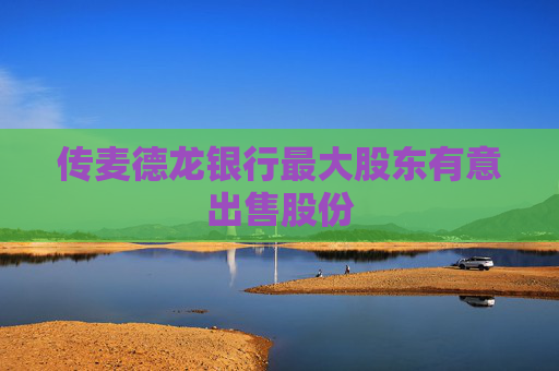 传麦德龙银行最大股东有意出售股份