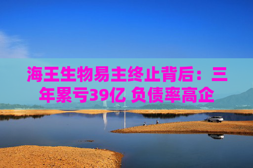 海王生物易主终止背后：三年累亏39亿 负债率高企