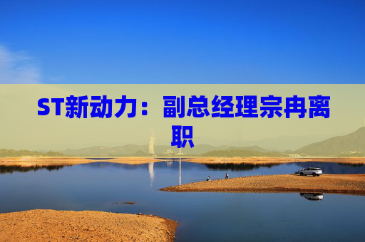 ST新动力：副总经理宗冉离职