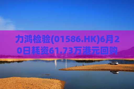 力鸿检验(01586.HK)6月20日耗资61.73万港元回购25.2万股