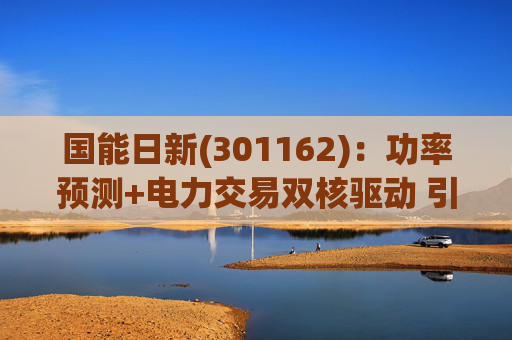 国能日新(301162)：功率预测+电力交易双核驱动 引领业绩持续高增长