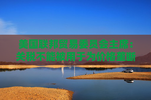美国联邦贸易委员会主席：关税不能被用于为价格垄断开绿灯