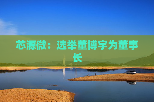 芯源微：选举董博宇为董事长
