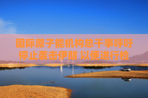国际原子能机构总干事呼吁停止袭击伊朗 以便进行检查